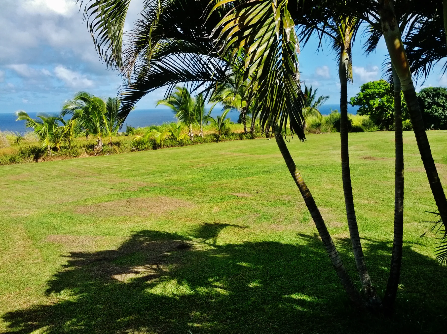The green country around Haiku, North Shore Maui